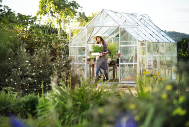 Greenhouse gardening