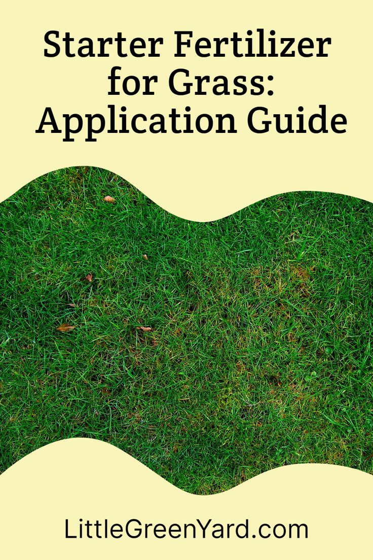 Starter Fertilizer for Grass: Application Guide - Little Green Yard